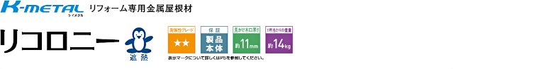 屋根材 屋根 激安 価格 格安 メーカー 安い 販売 ケイミュー K-Metal リコロニー イメージ01