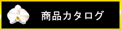 胡蝶蘭 コチョウラン 東京 横浜 大阪 名古屋 福岡 全国 宅配便 即日 Phalanopsis phalanopsis-aphrodite 御就任 御移転 御祝 オートミ花事業部 ohtomi flower 当社のこだわり