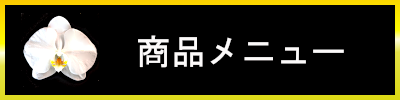 胡蝶蘭 コチョウラン 東京 横浜 大阪 名古屋 福岡 全国 宅配便 即日 Phalanopsis phalanopsis-aphrodite 御就任 御移転 御祝 オートミ花事業部 ohtomi flower 商品メニュー