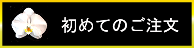 胡蝶蘭 コチョウラン 東京 横浜 大阪 名古屋 福岡 全国 宅配便 即日 Phalanopsis phalanopsis-aphrodite 御就任 御移転 御祝 オートミ花事業部 ohtomi flower 初めてのご注文