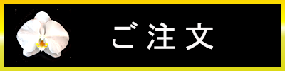胡蝶蘭 コチョウラン 東京 横浜 大阪 名古屋 福岡 全国 宅配便 即日 Phalanopsis phalanopsis-aphrodite 御就任 御移転 御祝 オートミ花事業部 ohtomi flower メールフォーム