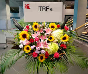 芸能人御用達 華麗な御祝花 ライブ　LIVE 東京 全国 コンサート花 スタンド花 TRF（てぃーあーるえふ）様へ