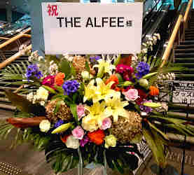 芸能人御用達 華麗な御祝花 ライブ　LIVE 東京 全国 コンサート花 スタンド花 THE ALFEE（じ　あるふぃー）様へ