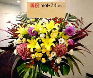 芸能人御用達 華麗な御祝花 ライブ　LIVE 東京 全国 コンサート花 スタンド花 mol-74（もるかるまいなすななじゅうなな）様へ 