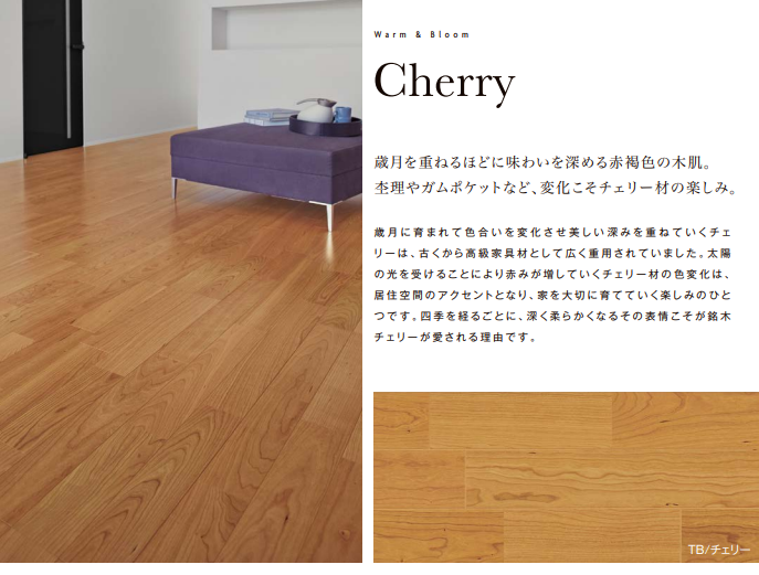 リクシル 室内ドア カタログ 価格表 引戸 値引き率 激安 格安 安い 銘木床 Cherry