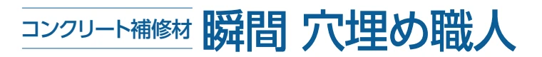 瞬間 穴埋め職人 大成ファインケミカル 激安 価格 安い 格安 最安値 イメージ画像1